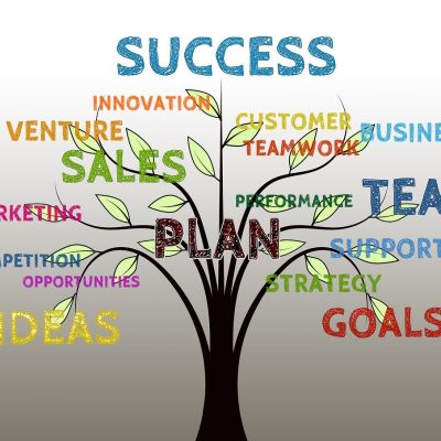 Coaching Package 3: Intensive 1-Year NLP Coaching