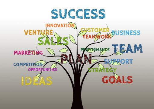 Coaching Package 3: Intensive 1-Year NLP Coaching