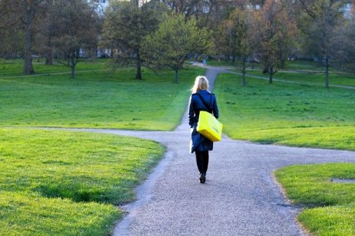 Coaching Package 2: Solution Focused Coaching (half day)